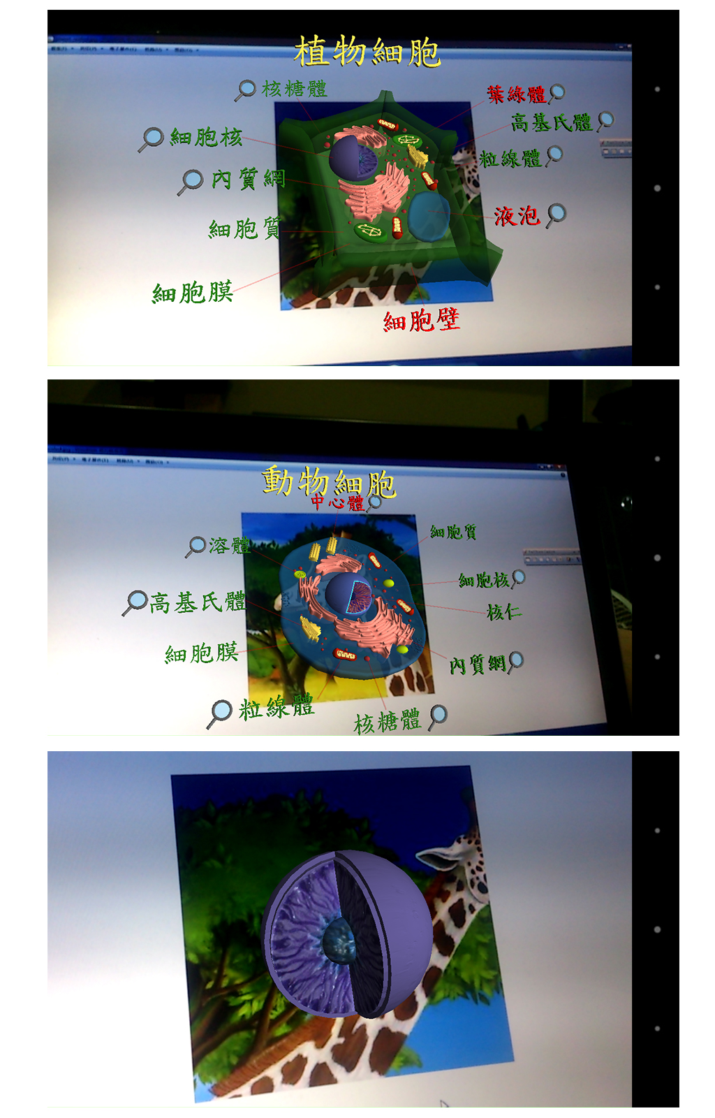 AR Biology 圖片 1